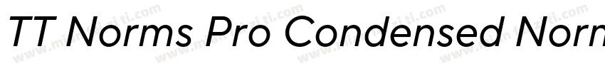TT Norms Pro Condensed Normal字体转换